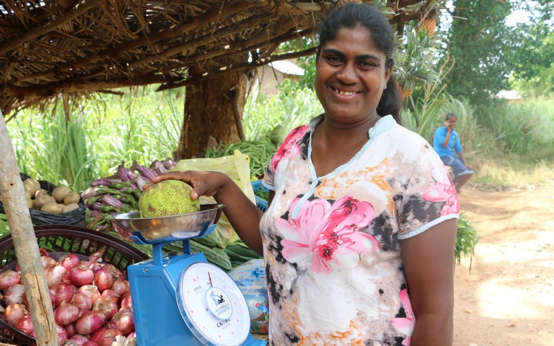 Starting a Vegetables selling Shop – Constructing a Shop (Day 1)